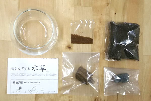 水栽培 聖新陶芸 育てる水草 Sサイズ Tokilaboトキラボ